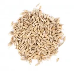 autobrasseur-les-ingredients-brassage-biere